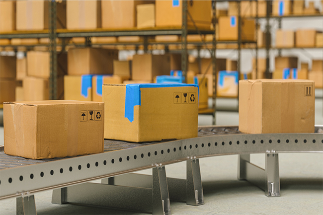 Export and Import services