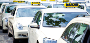 Loka Samastha India Private Limited